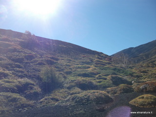 rrente Quarantore-01-11-2012 11-02-10